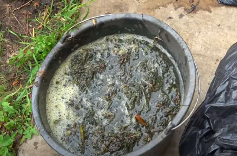 تصویر 2 از کود مرغی سطلی مناسب مصرف کنترل شده